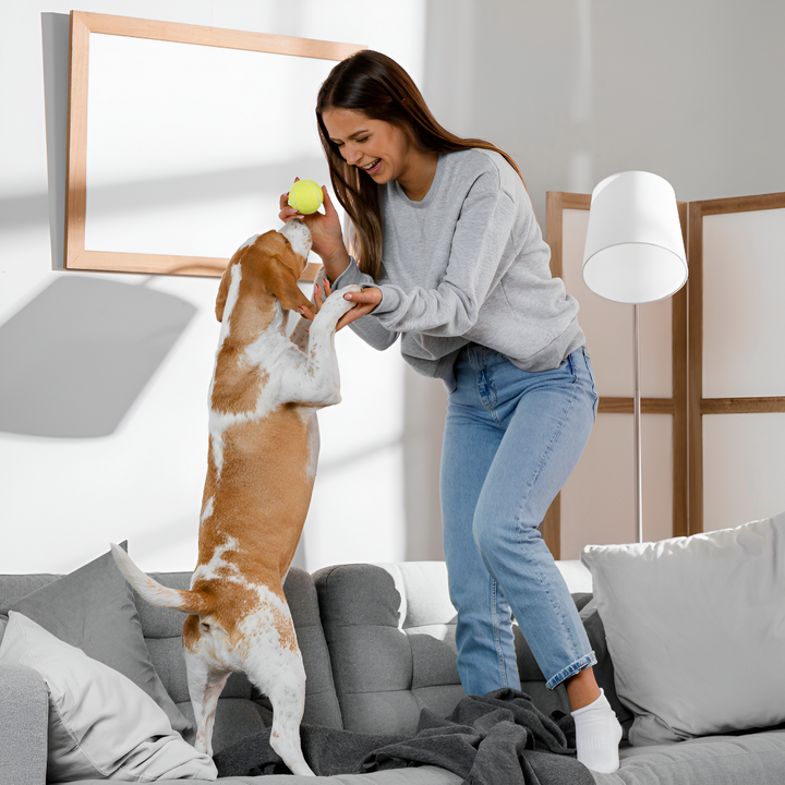 Fun Ways to Keep Your Pet Active Indoors