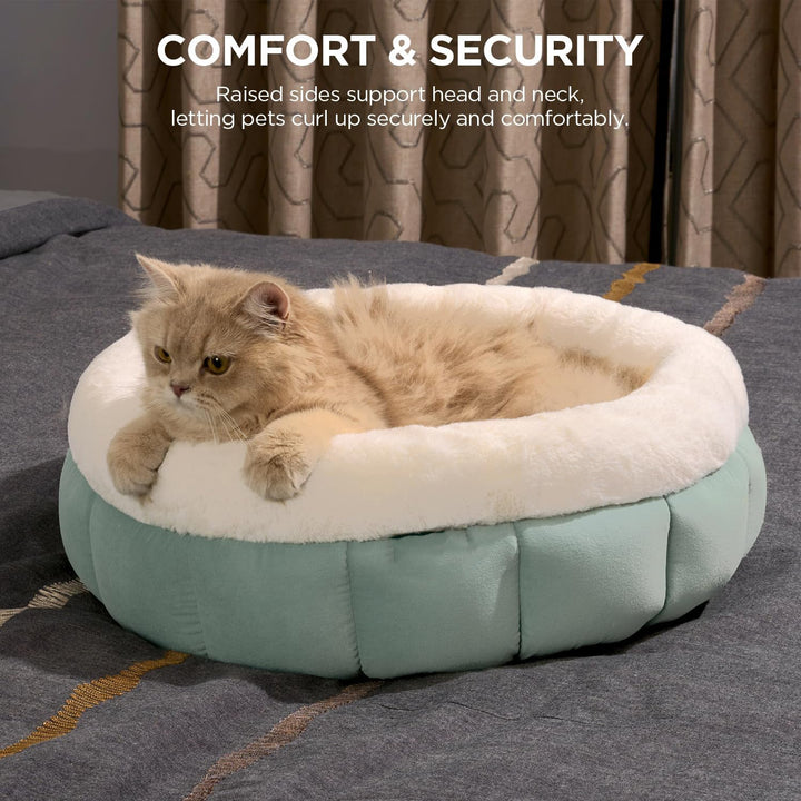 The Ultimate Comfort for Your Indoor Cat: Discover the Washable Pet Bed