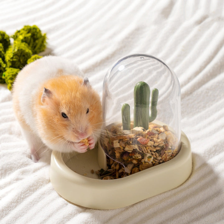 Home Hamster Creative Cactus Automatic Feeder - The Perfect Solution for Pet Owners