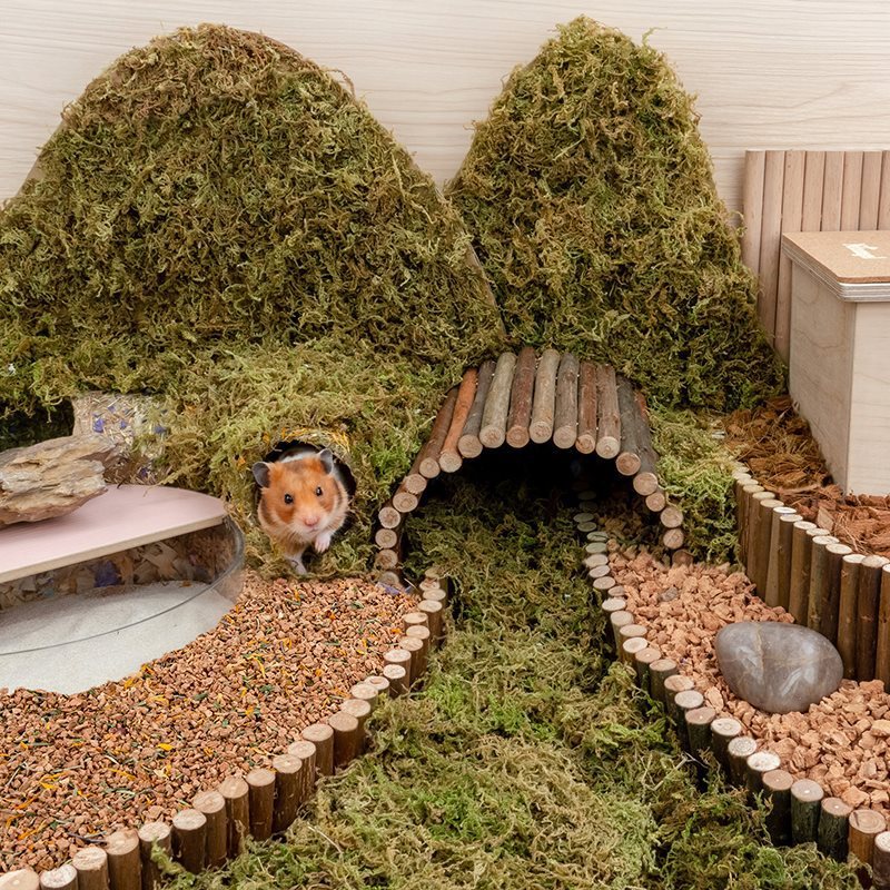 Hamster Digging Dust-free Bedding Supplies