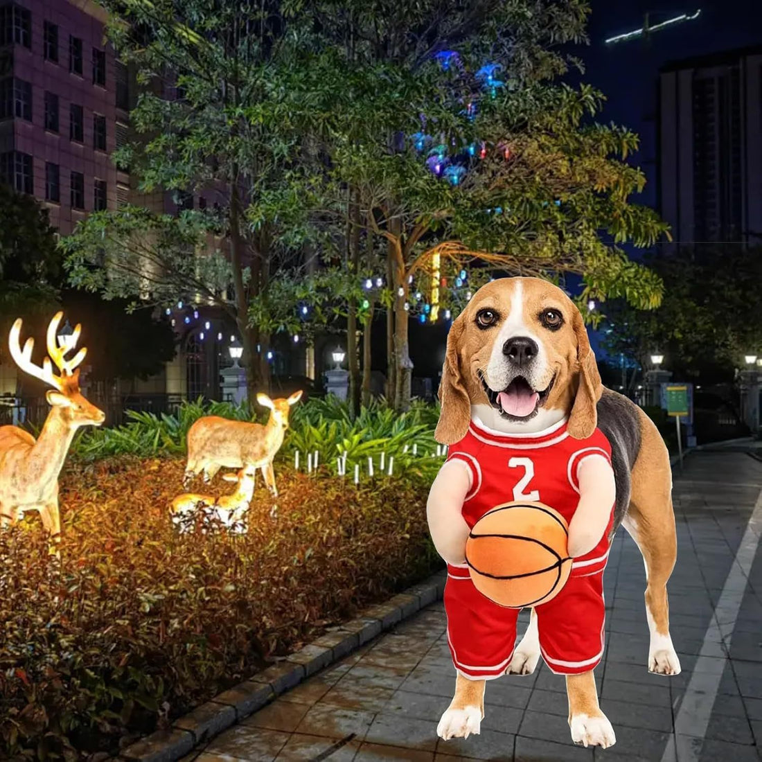 Pet Halloween Costumes For Dogs