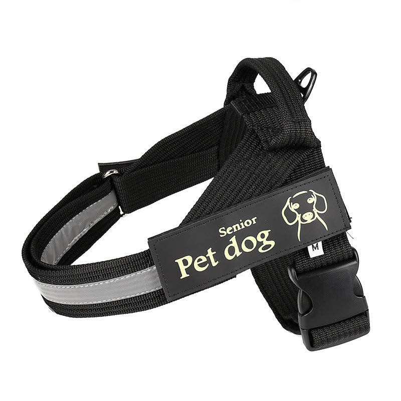 Dog Walking Chain Leash Dog