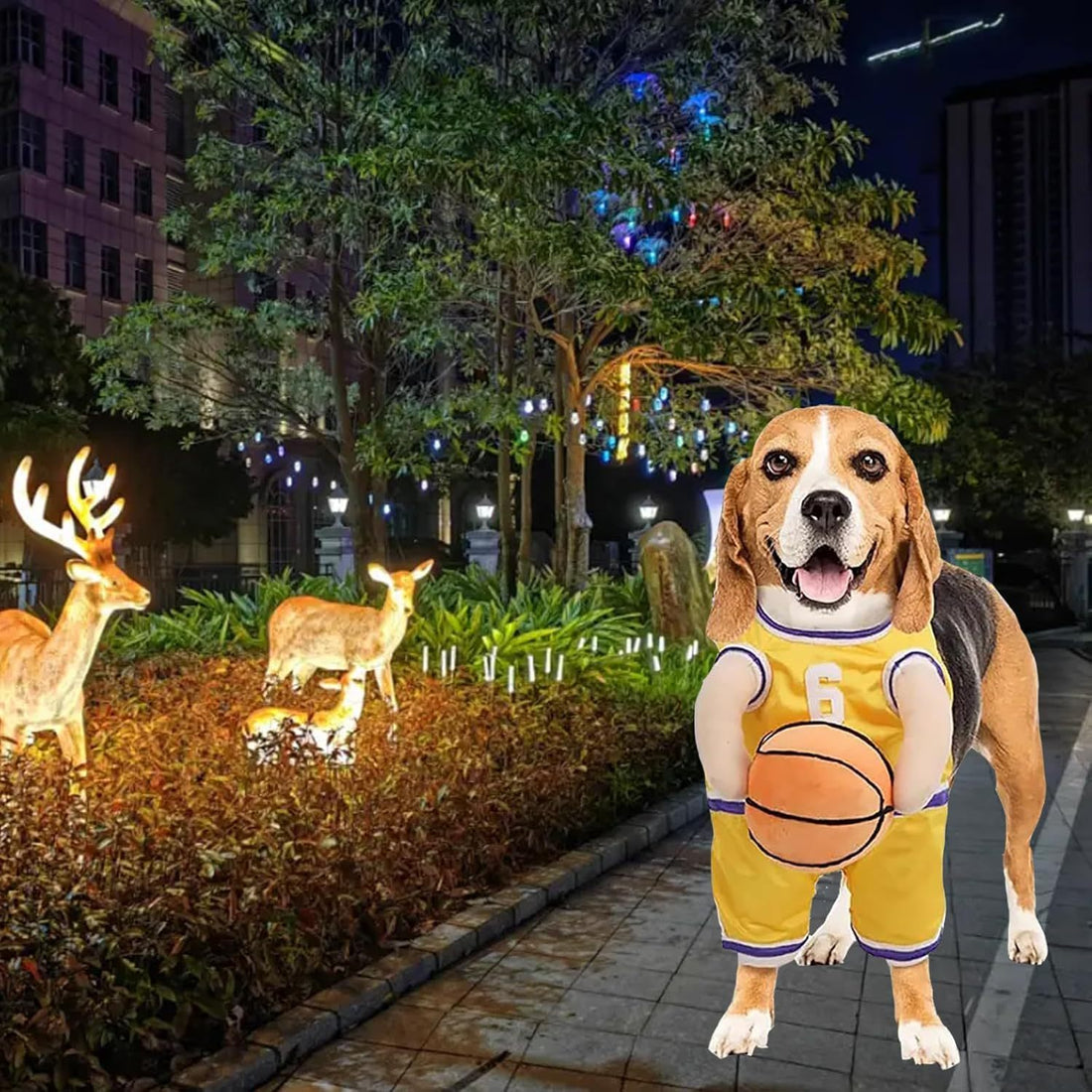 Pet Halloween Costumes For Dogs
