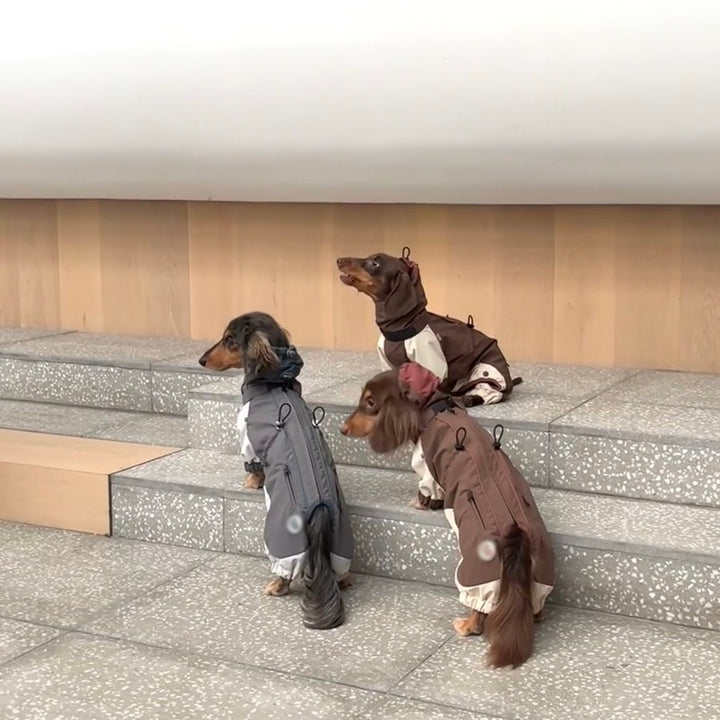 Cold-proof Dachshund Pet Clothes Autumn And Winter Shell Jacket