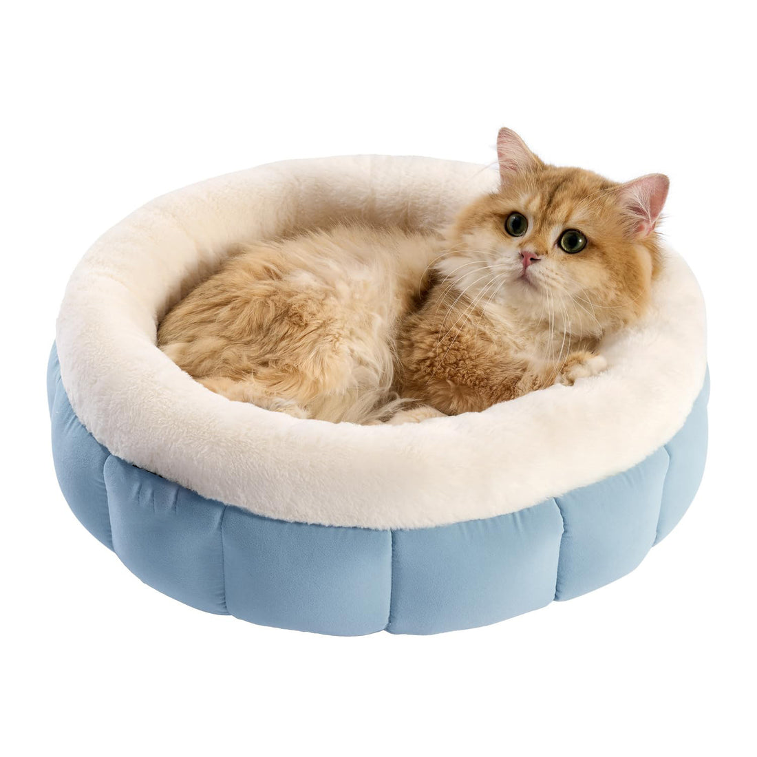 Indoor Cats Washable Pet Bed