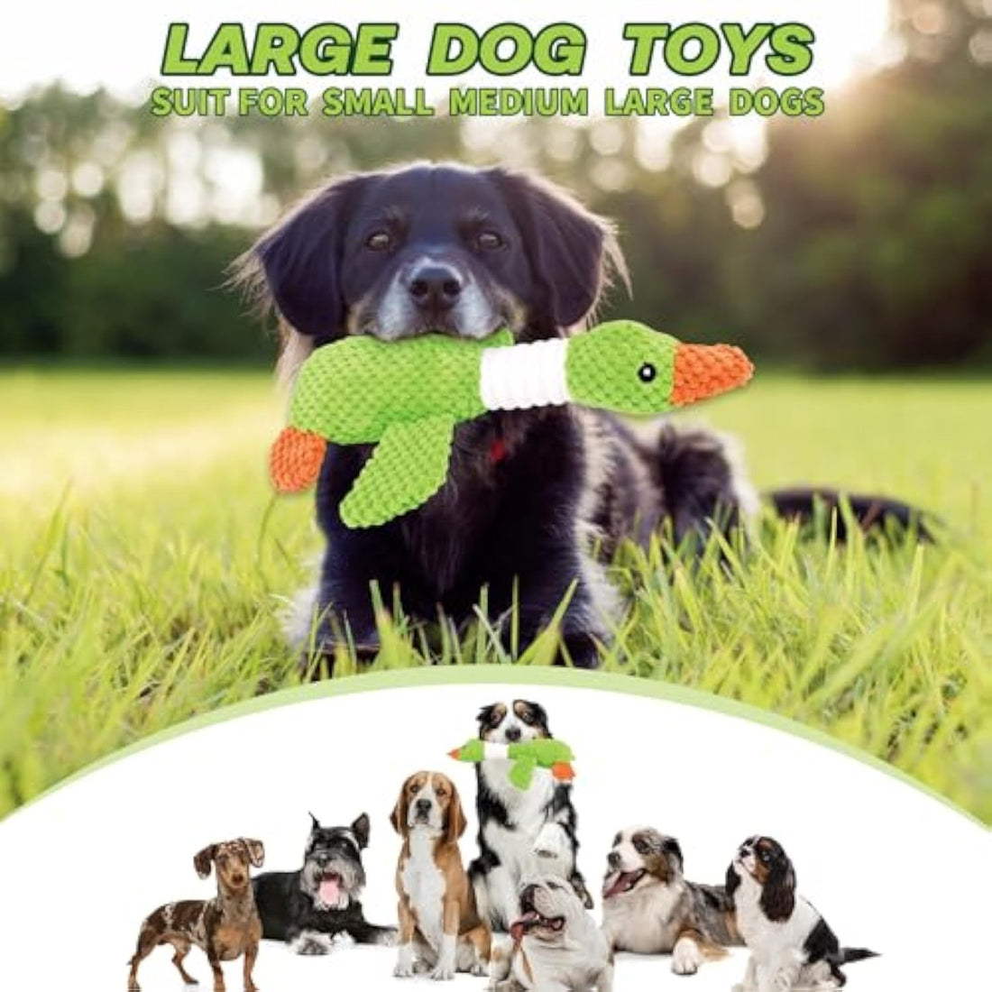 Plush Toys For Large Dogs