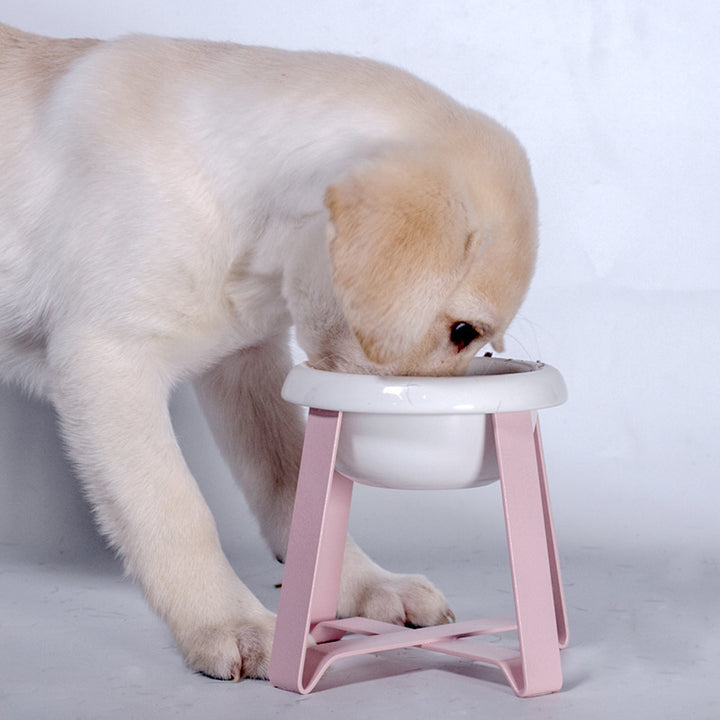 Creative Antislip Dog Feeding Bowl