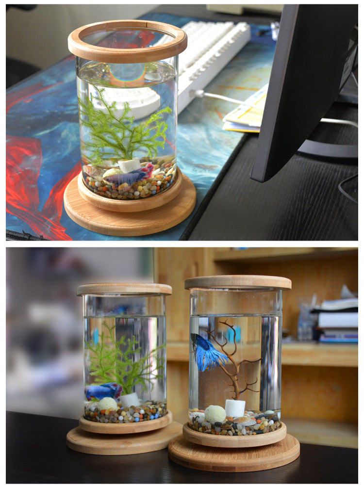 Mini Fish Tank Decoration Fish Aquarium