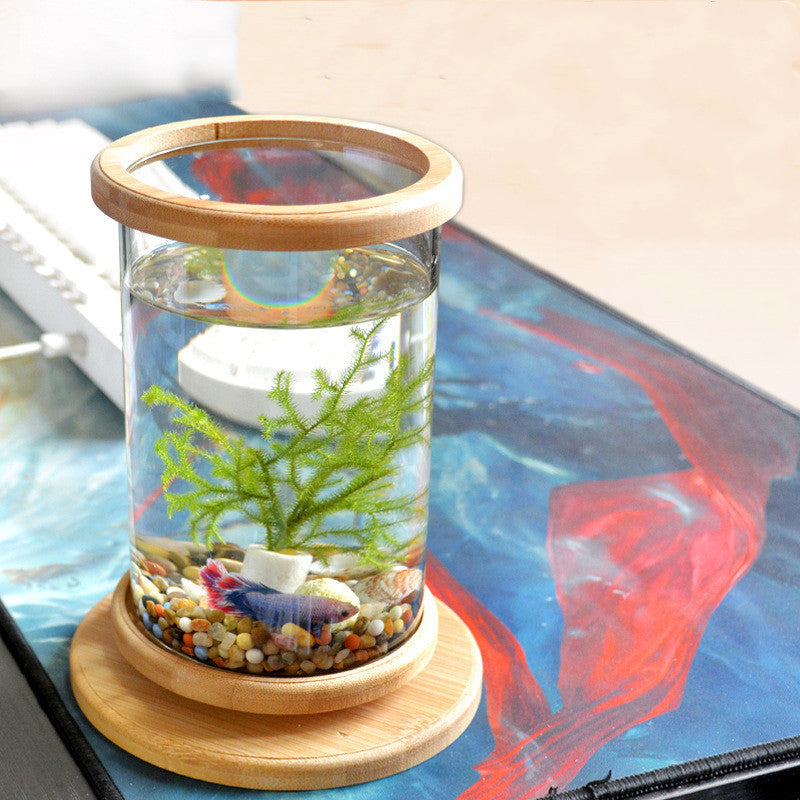 Mini Fish Tank Decoration Fish Aquarium