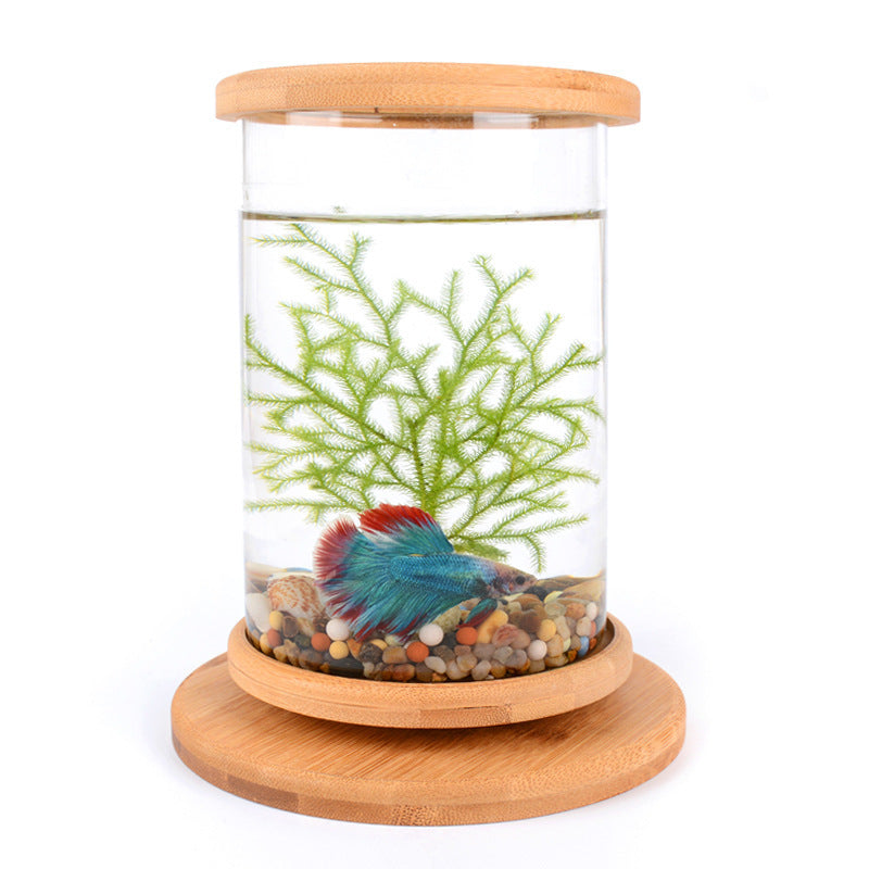 Mini Fish Tank Decoration Fish Aquarium