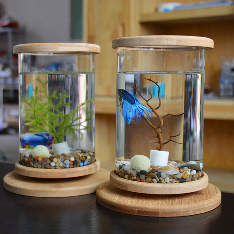 Mini Fish Tank Decoration Fish Aquarium