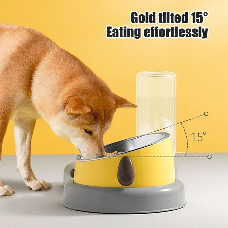 Pet Feeder Water Bottle Set