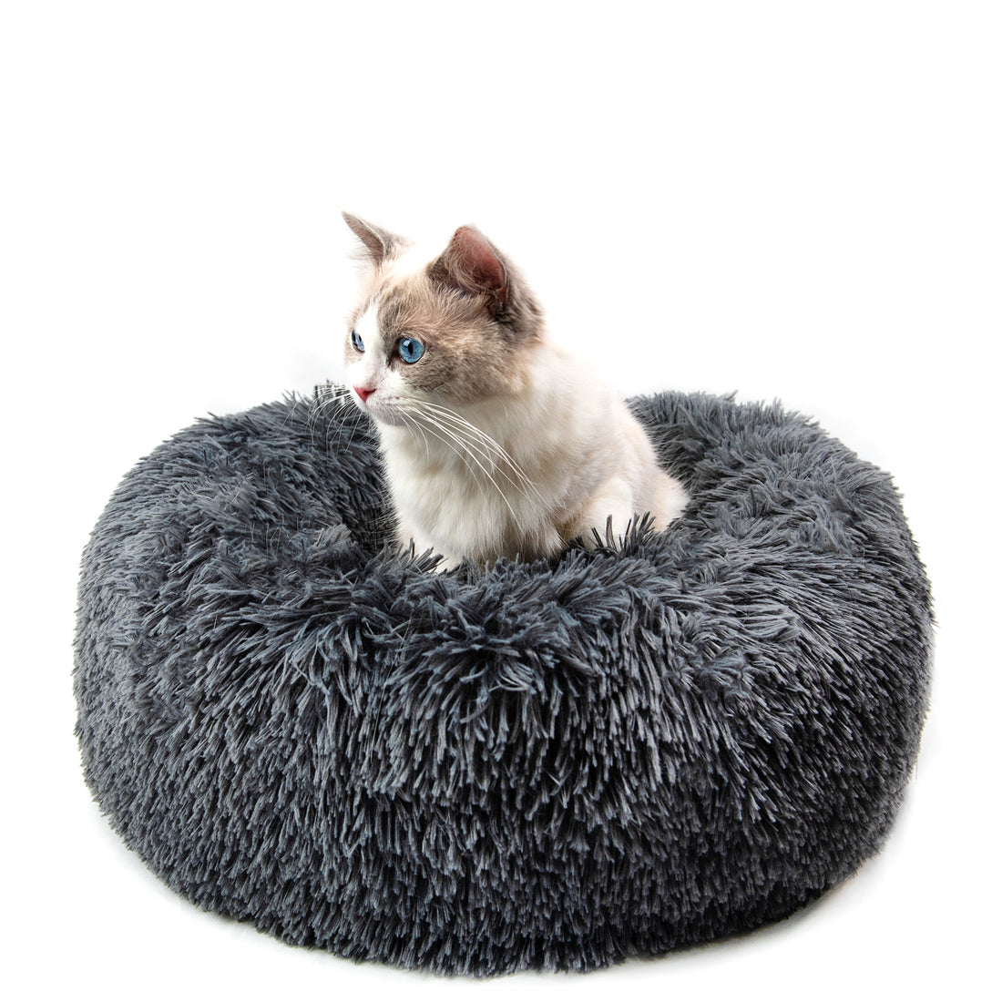 Cat Litter Kennel Pet Nest Mat Puppy Beds