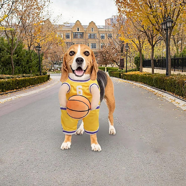 Pet Halloween Costumes For Dogs
