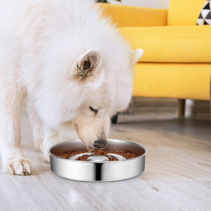 Pet Feeding Bowl Stainless Steel Neck Protector