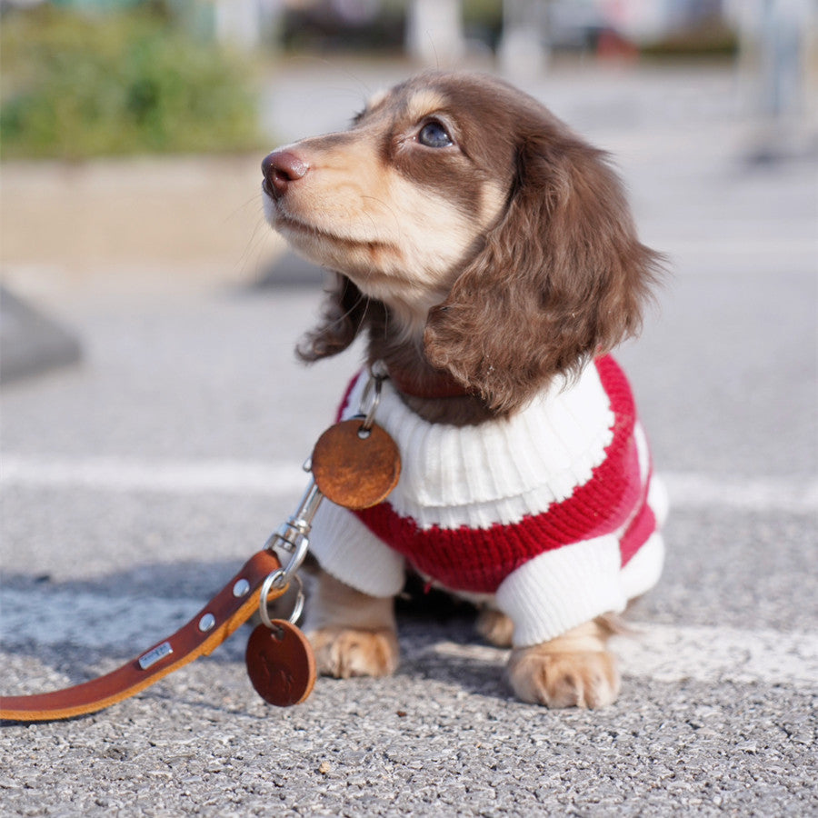 Sausage Dog Clothes Small Dog
