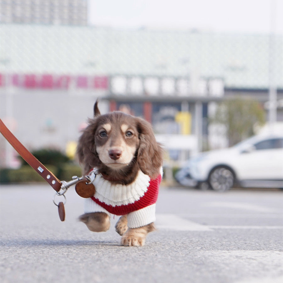 Sausage Dog Clothes Small Dog