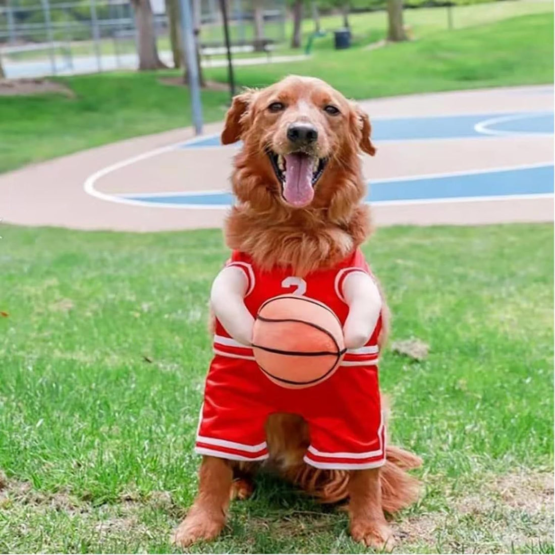 Pet Halloween Costumes For Dogs