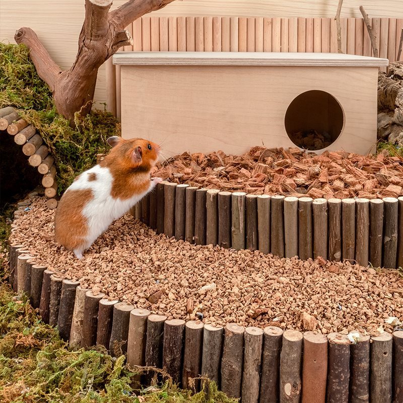 Hamster Digging Dust-free Bedding Supplies
