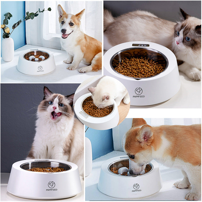 Pet Dog Bowl Slow Feeder Dog Food Bowl