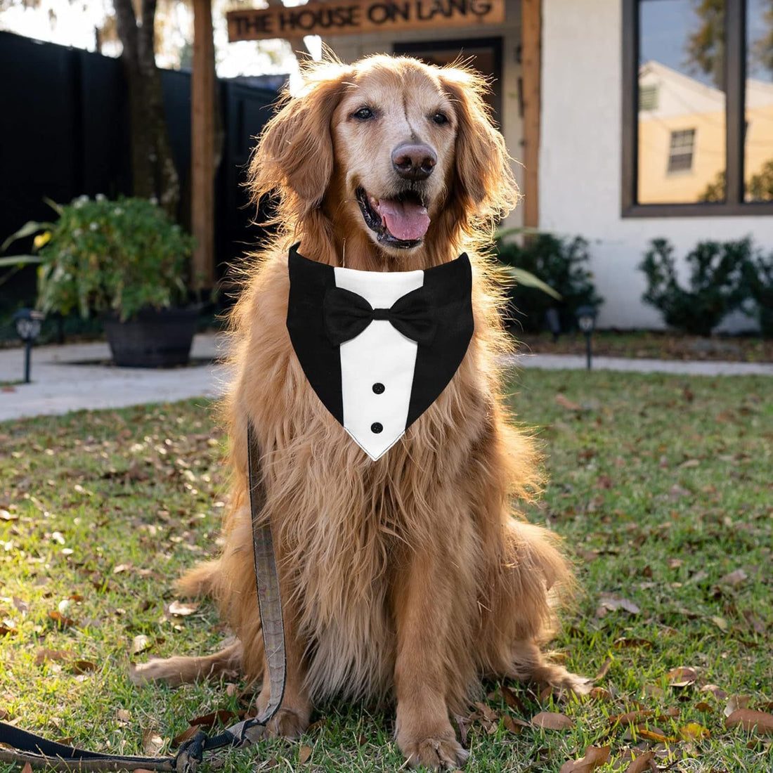 Dog Adjustable Formal Costumes