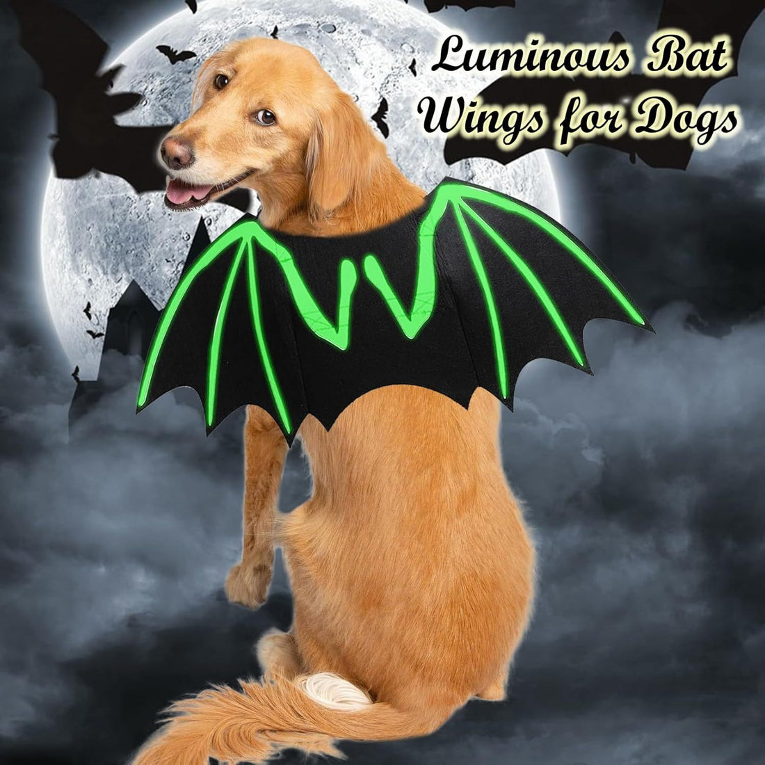 Dog Bat Costume Cool Luminous Clothing