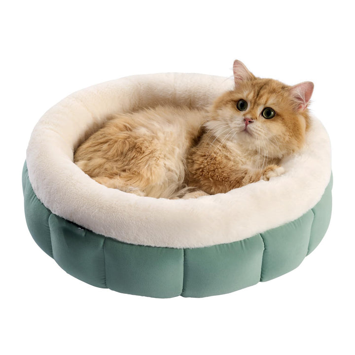 Indoor Cats Washable Pet Bed
