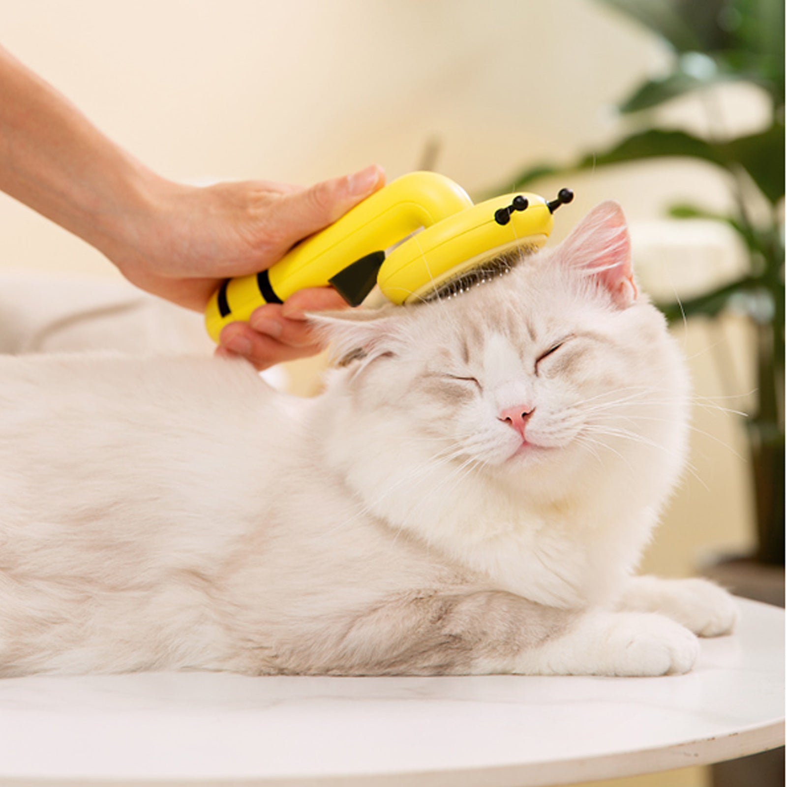 Little Bee Pet Needle Cat Comb