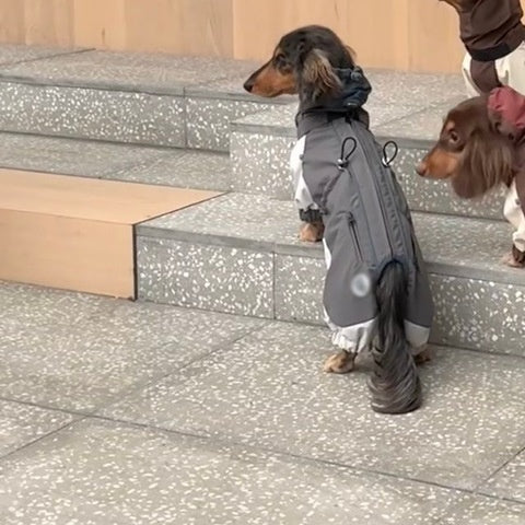 Cold-proof Dachshund Pet Clothes Autumn And Winter Shell Jacket