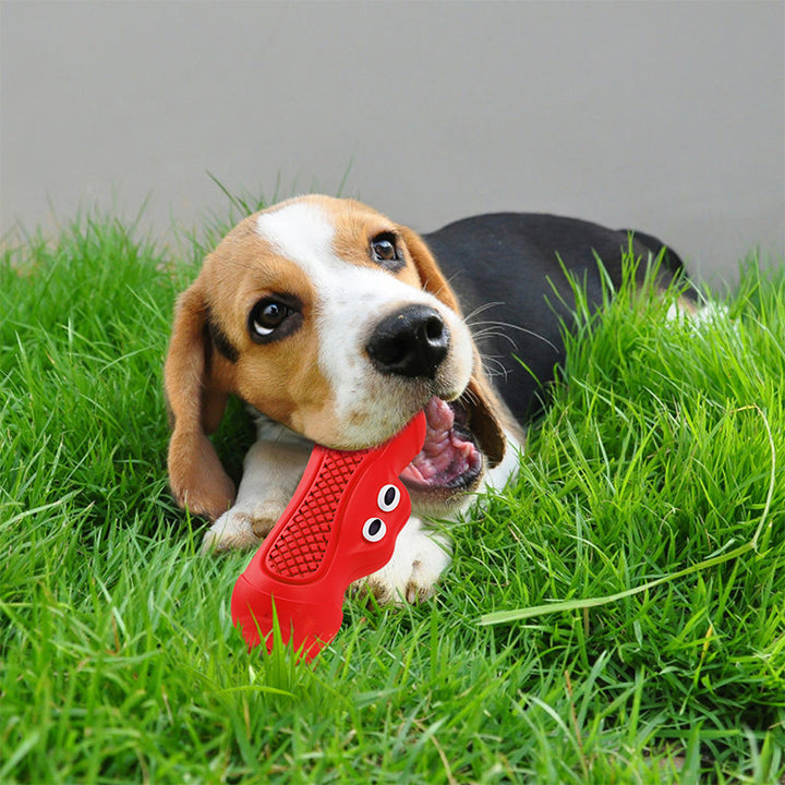 Resistant Biting Teeth Chewing Dog Toys