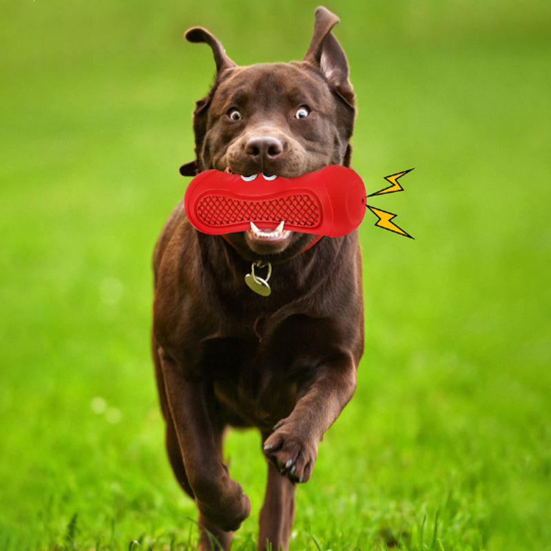 Resistant Biting Teeth Chewing Dog Toys