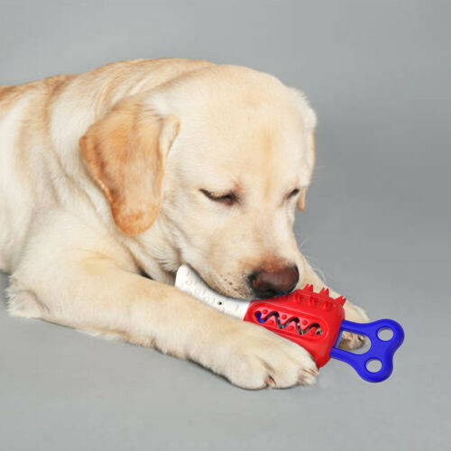 Pet Dog Cleaning Teeth Chew Toy