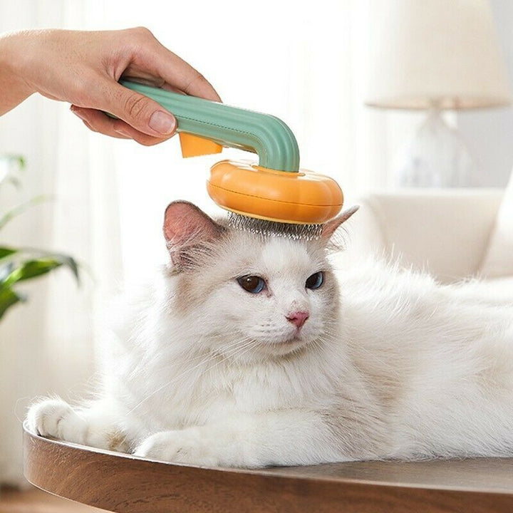 Pumpkin Comb Type Cat And Dog Needle Comb