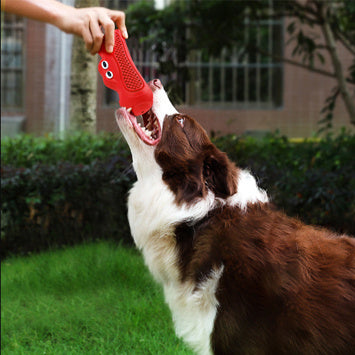 Resistant Biting Teeth Chewing Dog Toys