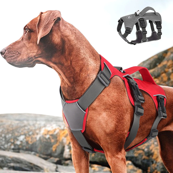 Dog Traction Rope Vest Style Chest Strap