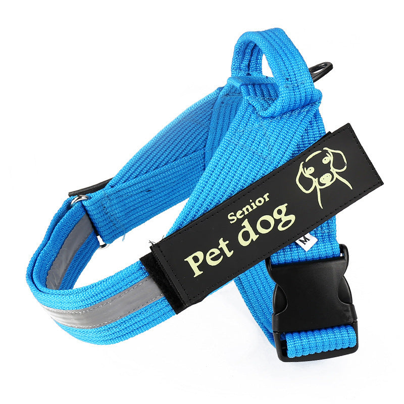 Dog Walking Chain Leash Dog
