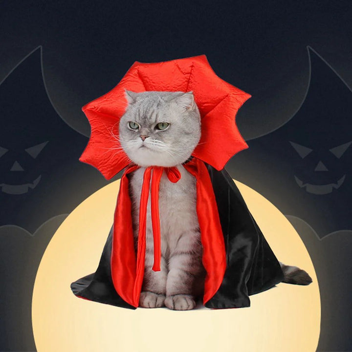 Cute Halloween Pet Costumes Cosplay