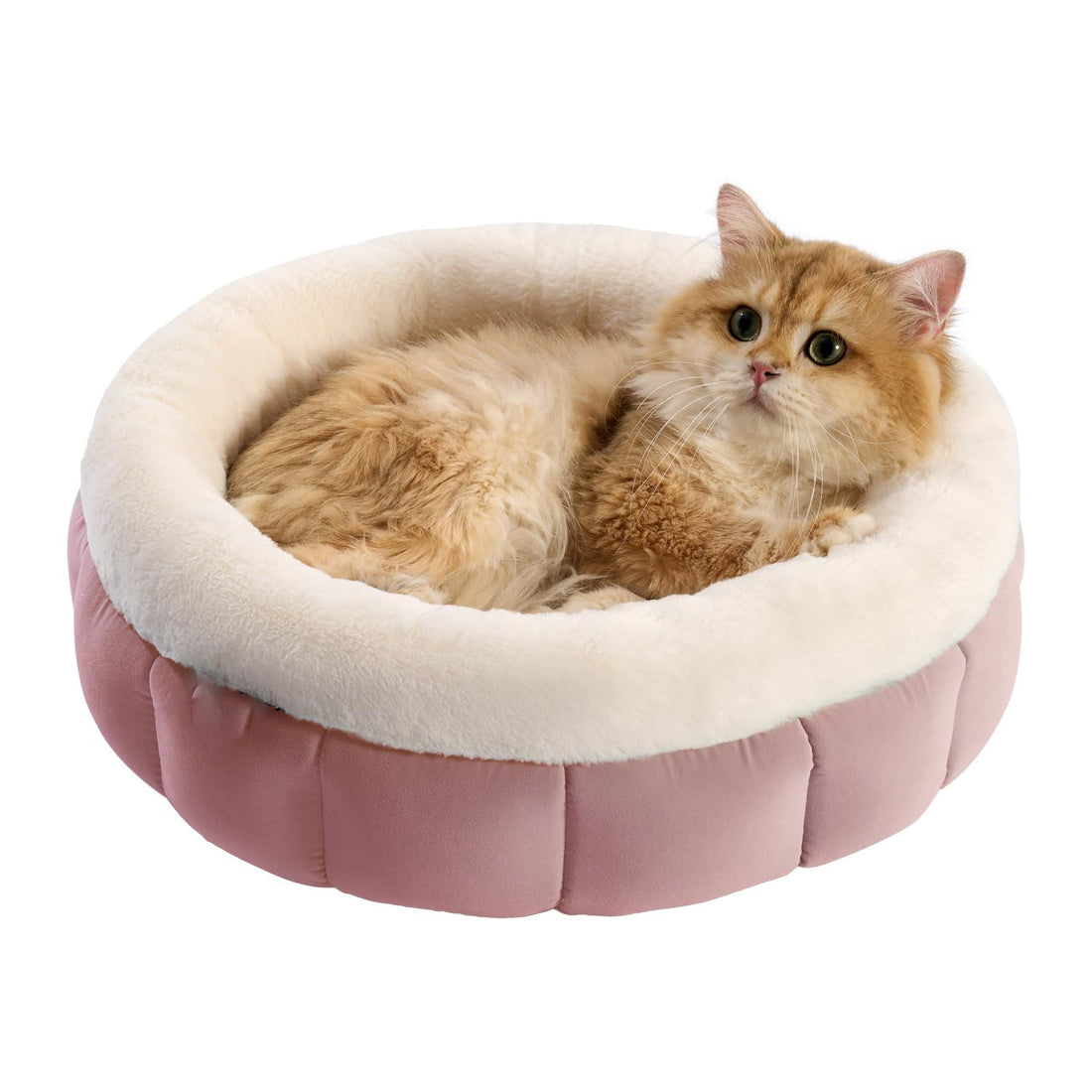 Indoor Cats Washable Pet Bed
