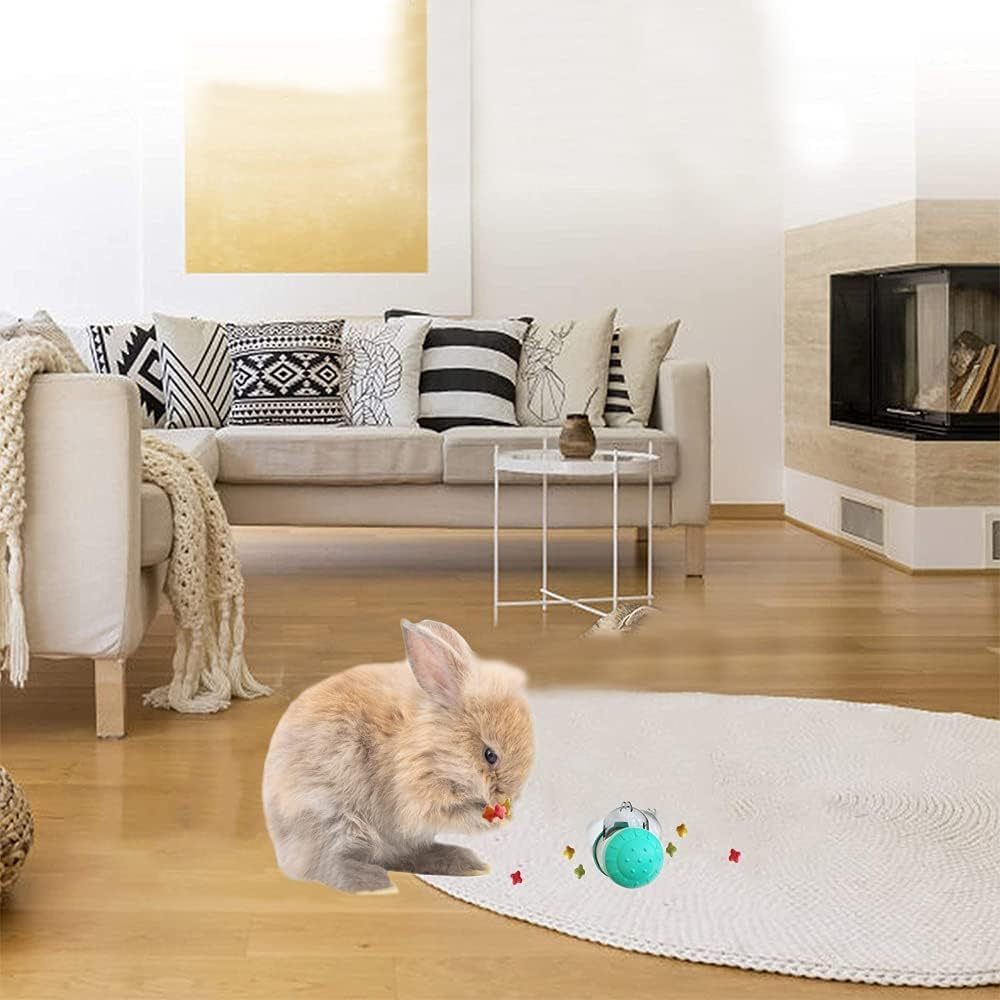 Interactive Dog Toys