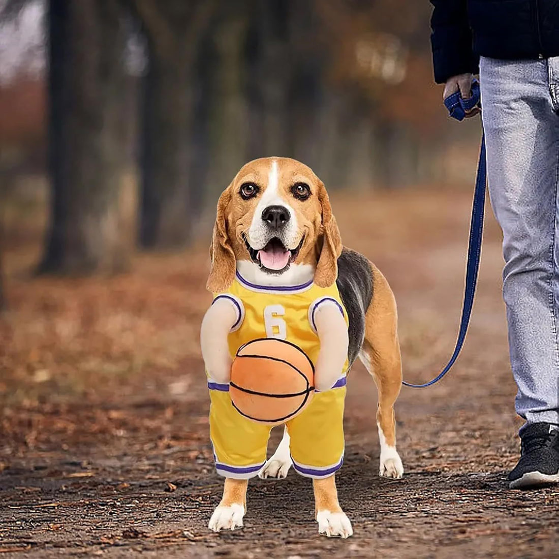 Pet Halloween Costumes For Dogs