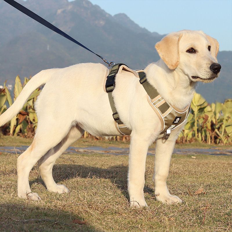 Explosion-proof Chest Strap Dog Vest