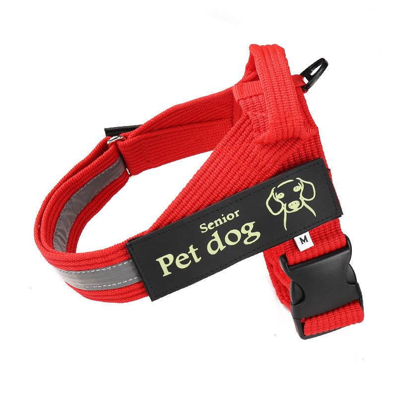 Dog Walking Chain Leash Dog