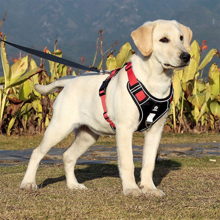 Explosion-proof Chest Strap Dog Vest