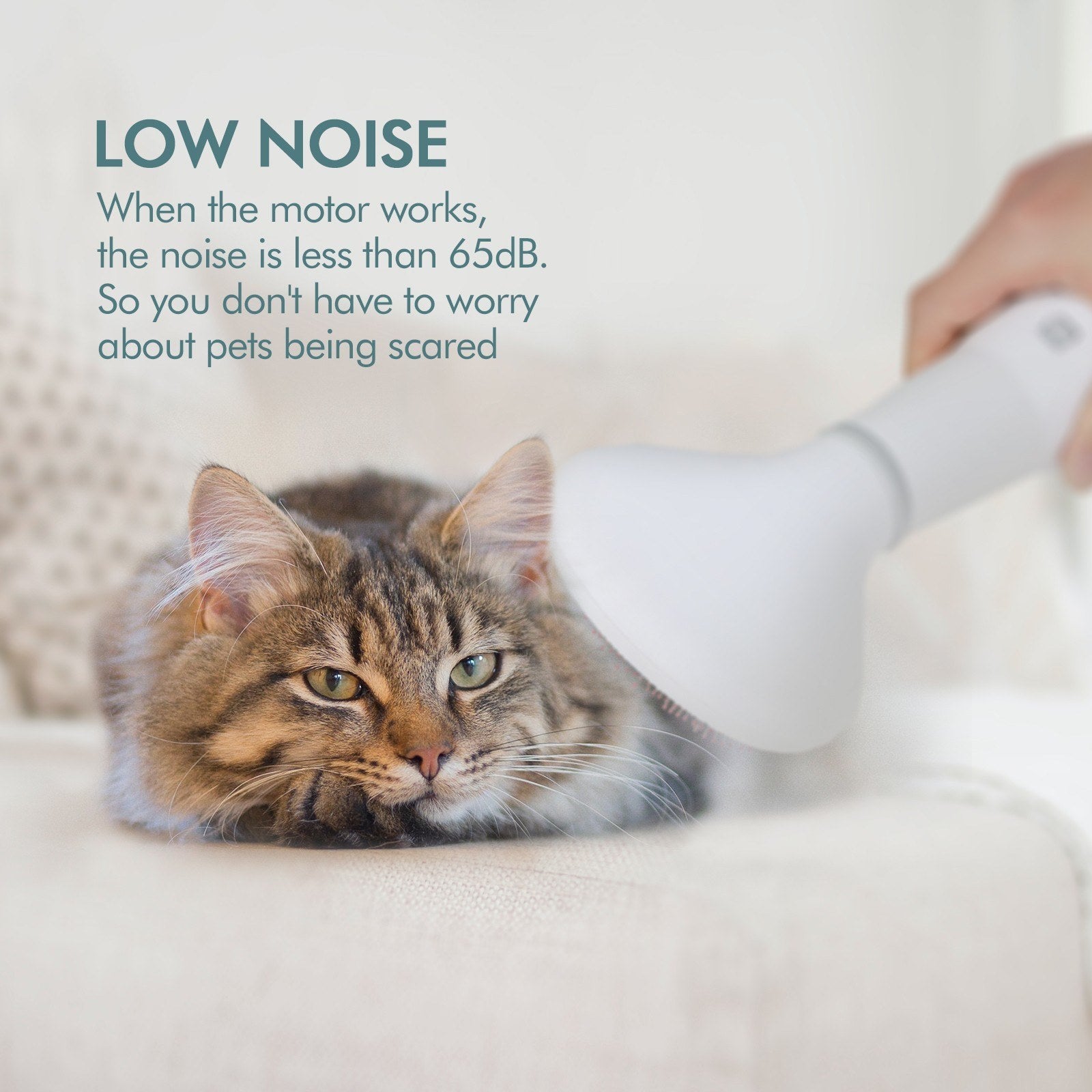 Pet Dog Hair Dryer Grooming Slicker Brush