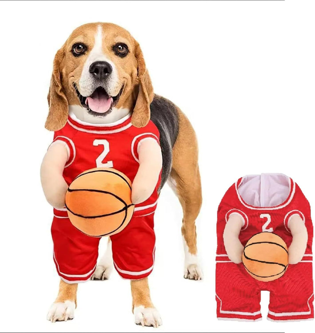 Pet Halloween Costumes For Dogs