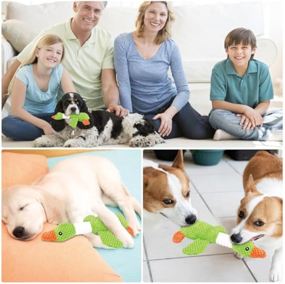 Plush Toys For Large Dogs