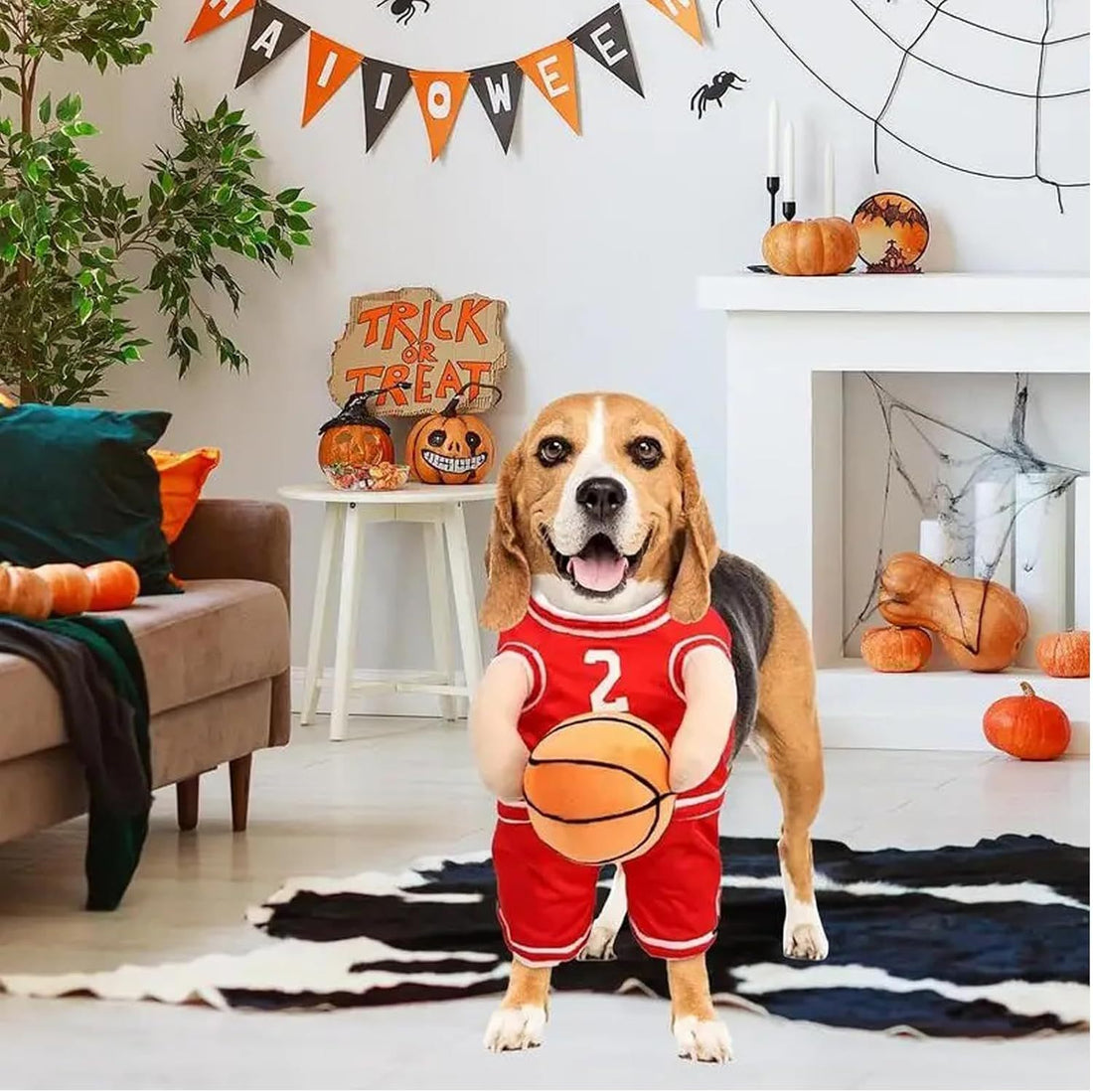 Pet Halloween Costumes For Dogs