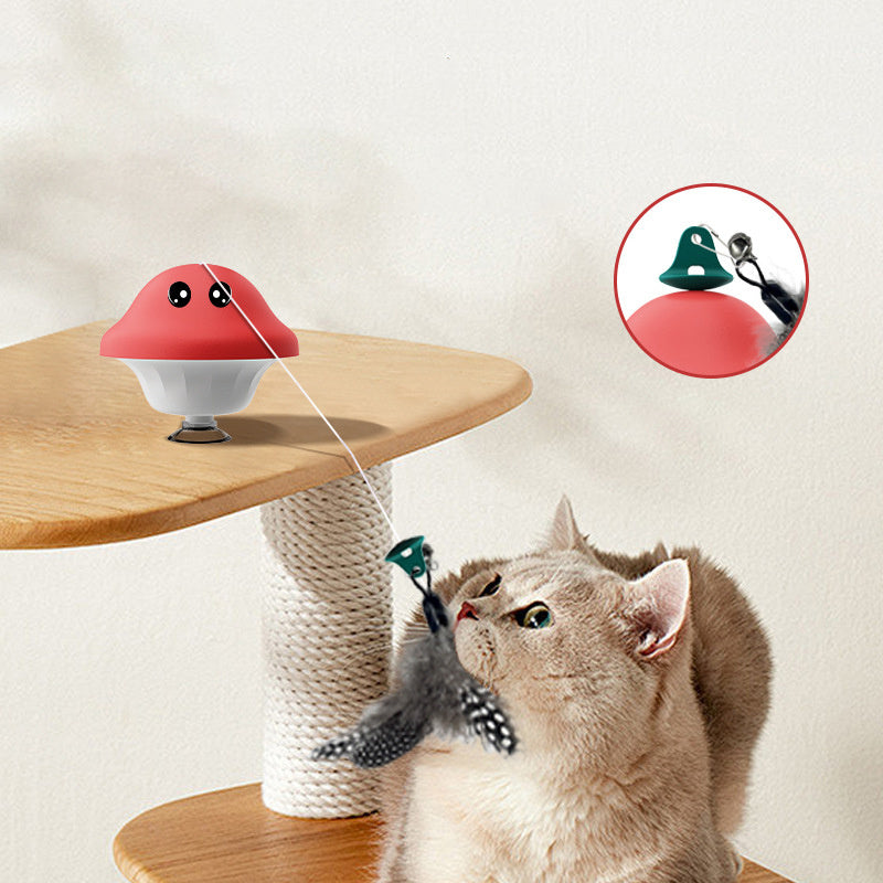 Cat Wand Suction Cup Pet Playing Toy