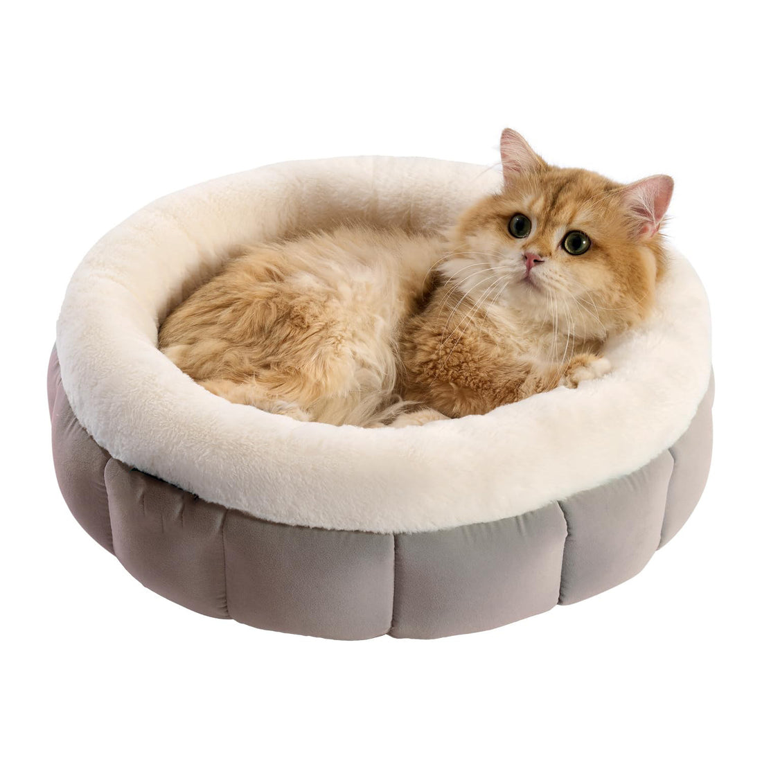 Indoor Cats Washable Pet Bed