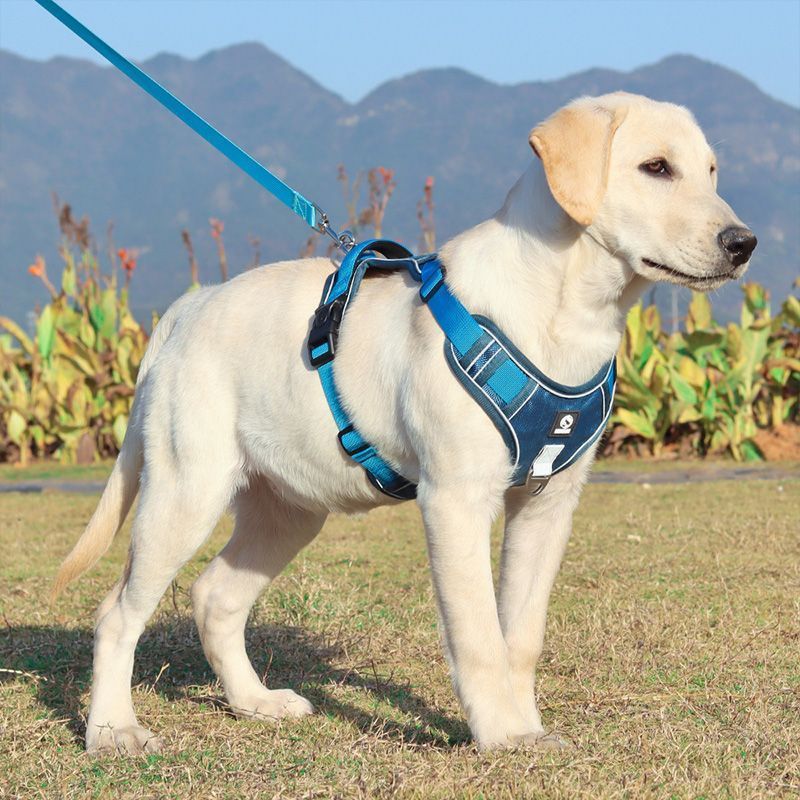 Explosion-proof Chest Strap Dog Vest